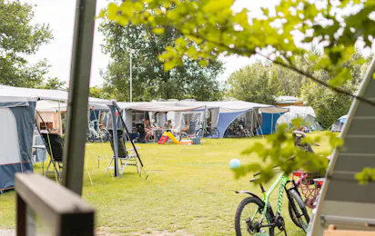 De Betteld Zelhem