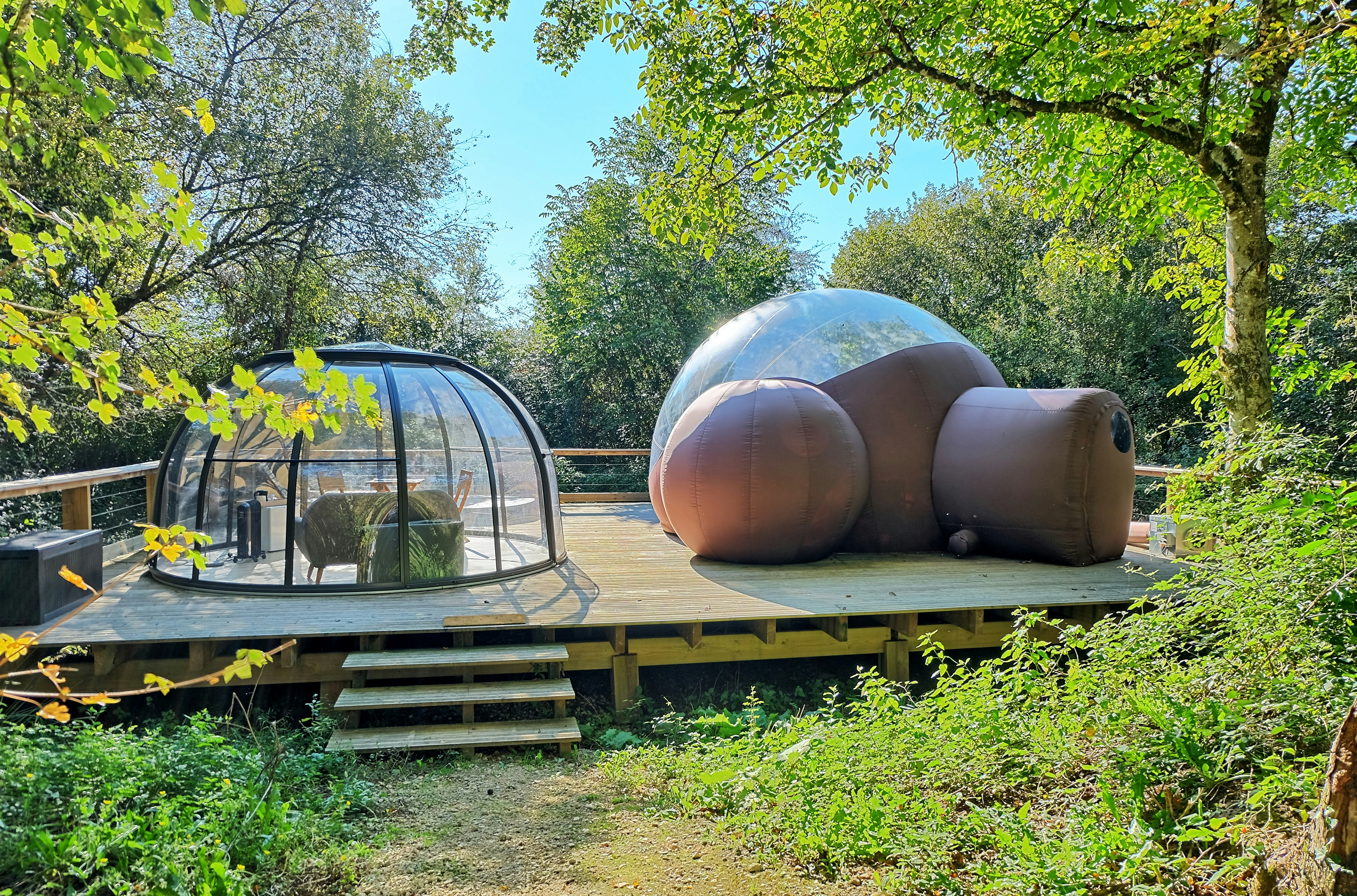 Chrysalide Saint Martin