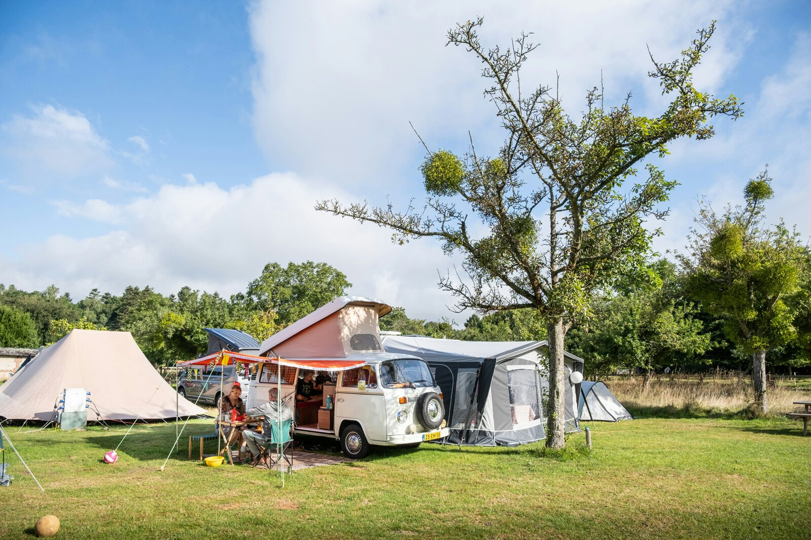 Château Camping Le Colombier - Wohnmobil- und Wohnwagenstandplätze auf der Wiese