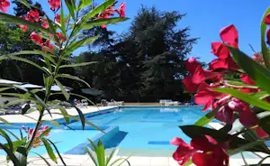Château de Lacomté Country Club - Blick auf den Pool des Campingplatzes