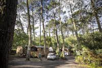Huttopia Arcachon  Club d'Arcachon - Mobilheim auf dem Campingplatz im Schatten der Bäume 
