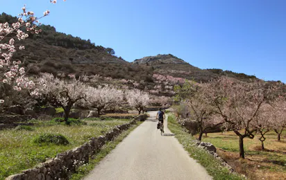 Càmping Vall de Laguar
