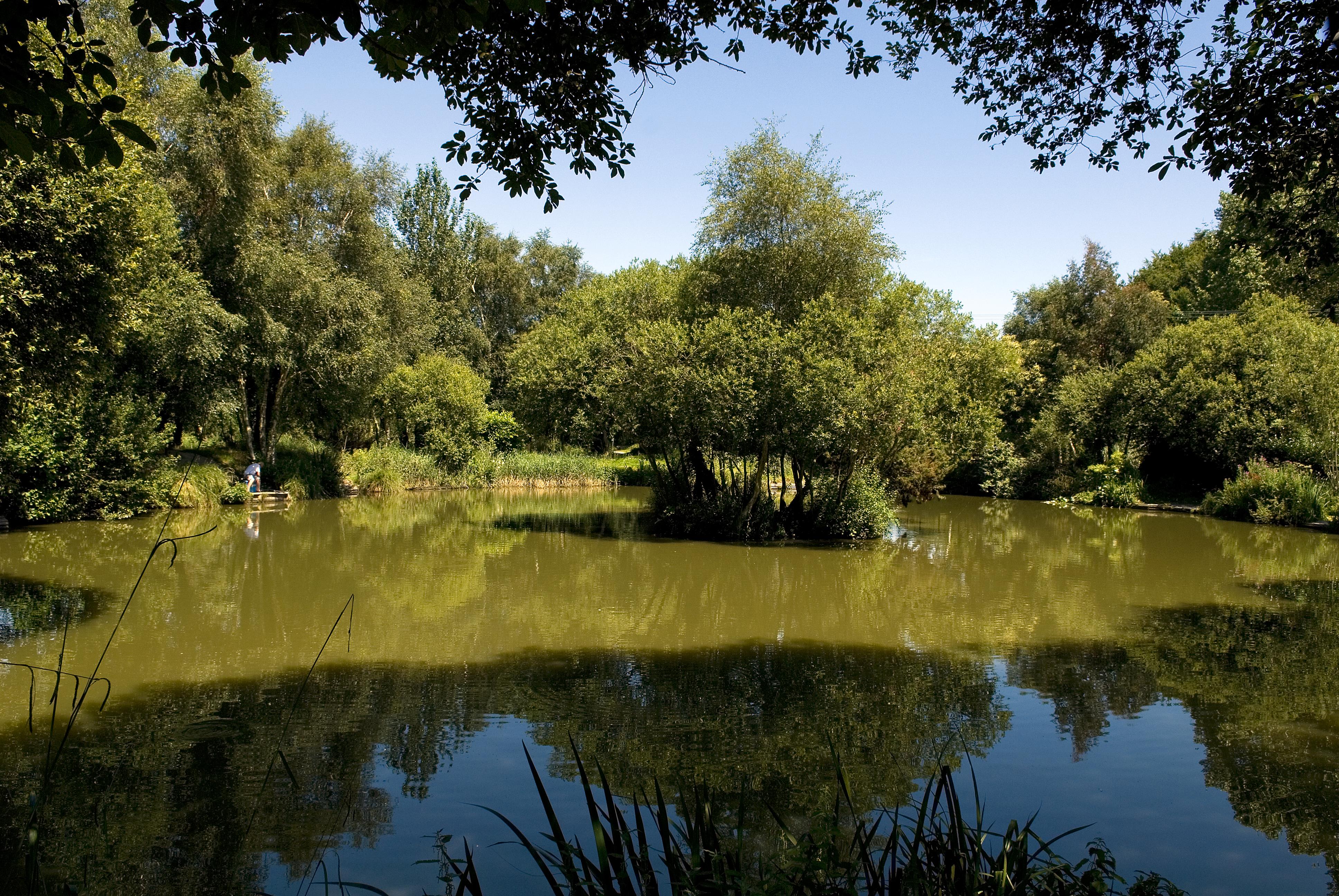 Cofton Country Holidays