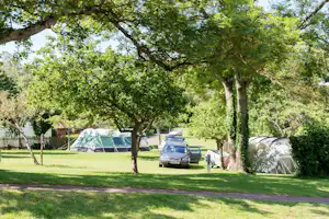 Zelte auf einem Campingplatz im Grünen, mit Auto am Stellplatz und Bäumen im Vordergrund.