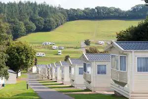 Reihen von Mobilheimen auf einem Campingplatz mit Blick auf Wiesen und Bäume im Hintergrund.