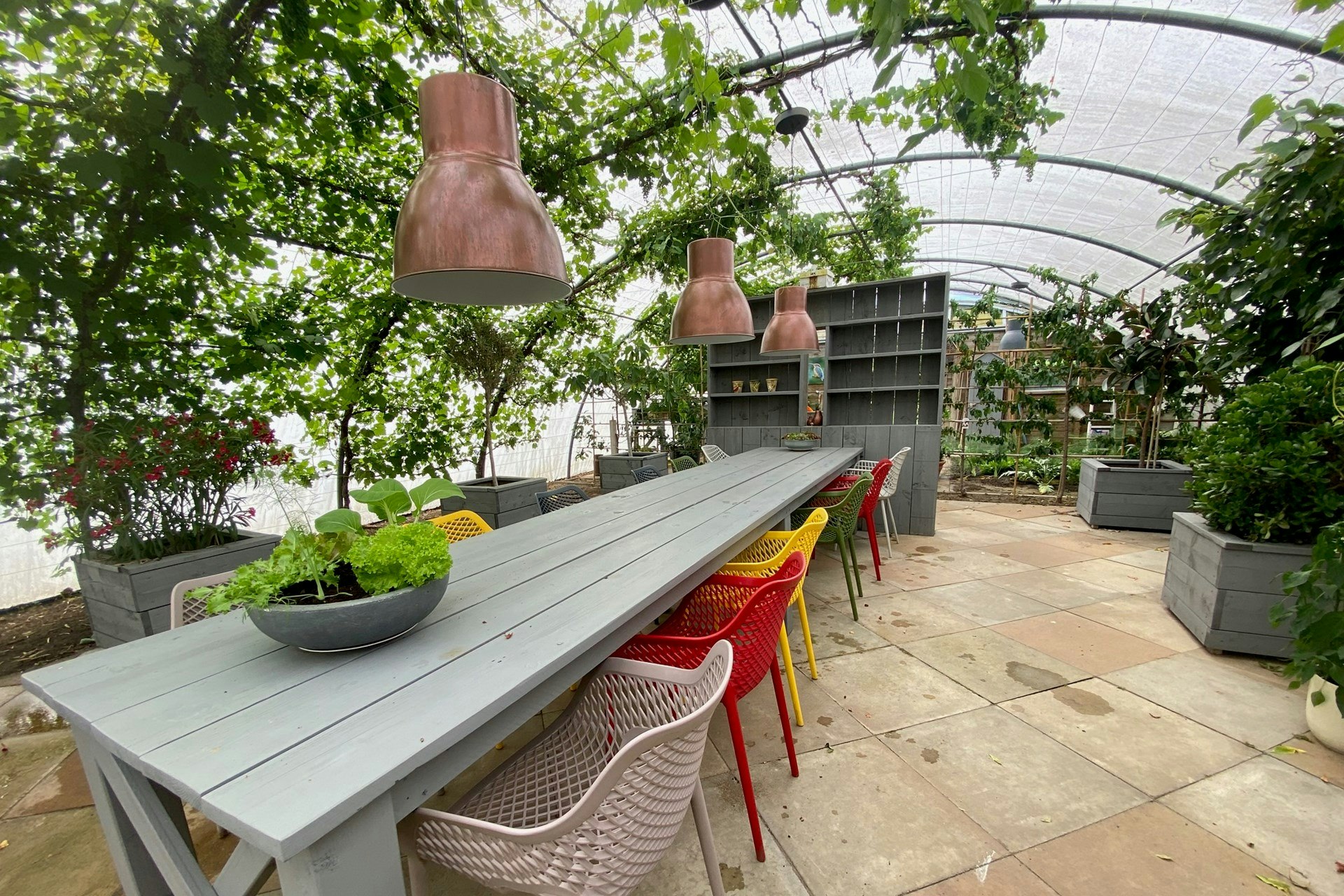 Comfortcamping de Groenstraat Aufenthaltsraum mit großem Tisch und Stitzgelegenheiten in einem Gewächshaus