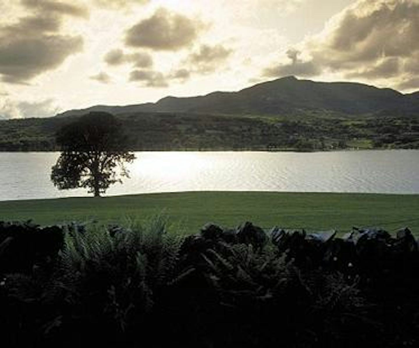 Coniston Park Coppice Caravan Club Site