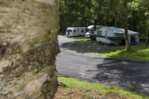 Coniston Park Coppice Caravan Club Site