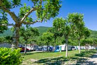 Continental Camping Village - Mobilheime und Wohnmobilstellplätze  im Schatten der Bäume