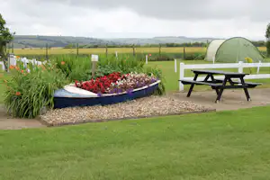 Grünes Campinggelände mit grünem Zelt, Steintisch und Blumenbeet mit roten Blüten vor Hecken und Feldern.