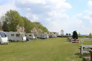 Reihe von Wohnmobilen auf einer Campingwiese, mit blühenden Bäumen, Picknicktischen und Zaun am Rand.