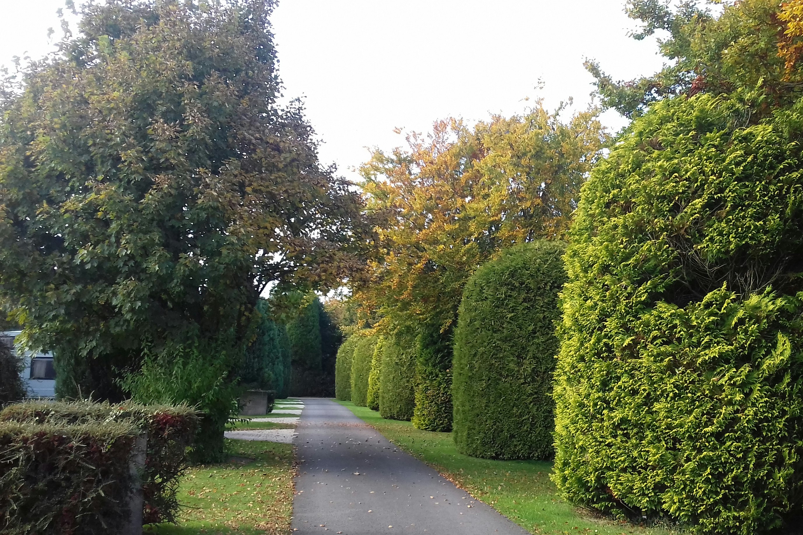 Coombe Touring Park - Stellplätze im Grünen auf dem Campingplatz