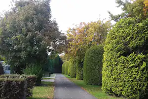 Gepflegter Weg durch den Campinggarten mit Hecken, Bäumen und Rasenflächen, im Hintergrund ein Gebäudezugang.