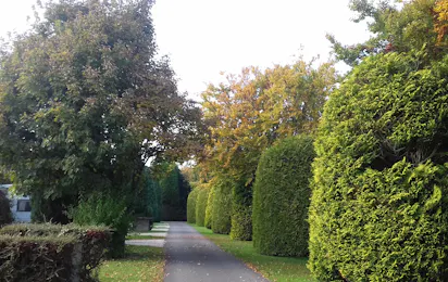 Coombe Caravan Park