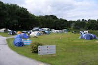 Cosawes Touring & Camping Park - Zeltplätze im Grünen
