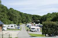 Cote Ghyll Caravan and Camping Park - Wohnwagenstellplätze im Grünen auf dem Campingplatz