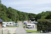 Cote Ghyll Caravan and Camping Park - Wohnwagenstellplätze im Grünen auf dem Campingplatz