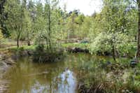 Craigtoun Meadows Holiday Park  - Parkbank am Teich auf dem Campingplatz im Grünen