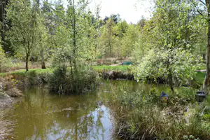 Craigtoun Meadows Holiday Park - Parkbank am Teich auf dem Campingplatz im Grünen