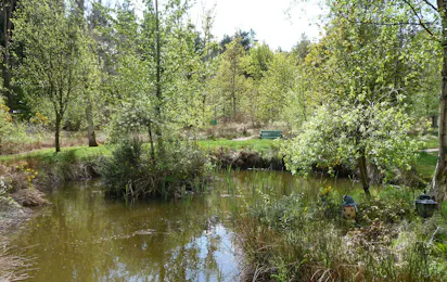 Craigtoun Meadows Holiday Park