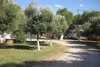 Creta Camping - Mobilheime und  Wohnwagenstellplätze im Grünen auf dem Campingplatz