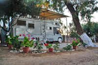 Creta Camping -  Wohnwagenstellplätze   im Grünen auf dem Campingplatz