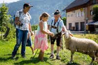 Da Bräuhauser - Gäste verbringen Zeit mit den Schafen auf dem Campingplatz
