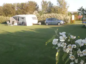 Daler Camping