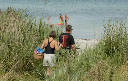 Dalgård Camping