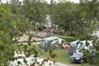 Dalgård Camping - Standplätze auf dem Campingplatz