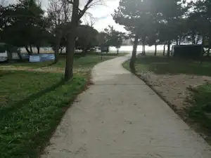 Campingweg zwischen Bäumen, links Zelte und rechts Rasenfläche mit weiteren Stellplätzen.