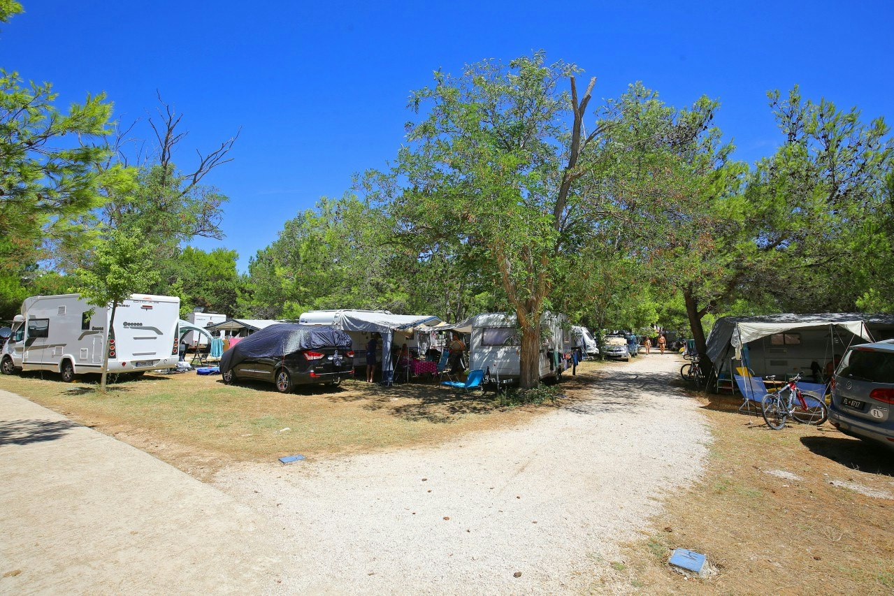 Campingplatz mit Stellplätzen, Wohnwagen und Zelten, Autos und Fahrrädern zwischen Bäumen entlang eines Kieswegs.