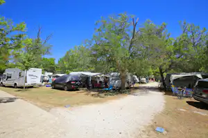 Campingplatz mit Stellplätzen, Wohnwagen und Zelten, Autos und Fahrrädern zwischen Bäumen entlang eines Kieswegs.