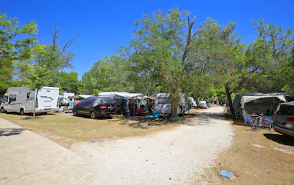 Dalmacija Camp