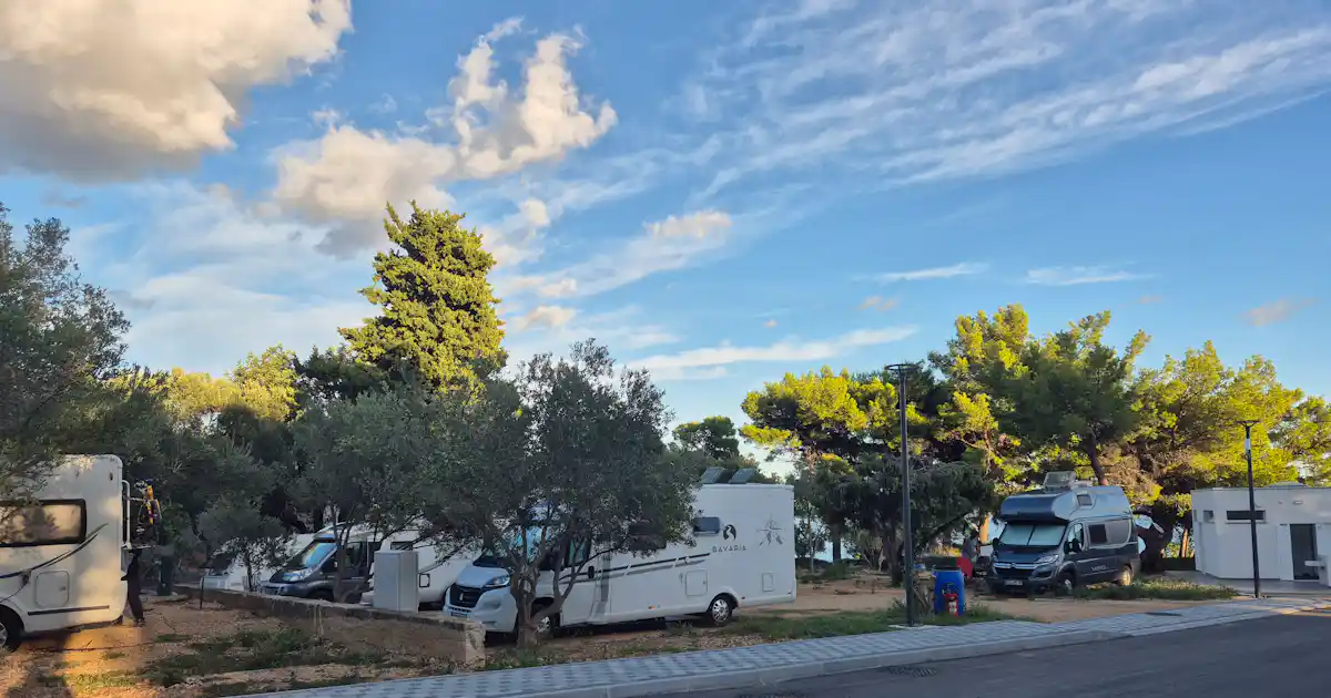 Sind Hunde auf Dalmata Camping erlaubt? photo 5
