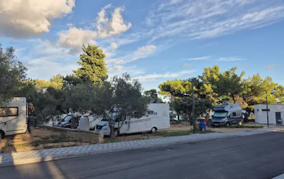 Dalmata Camping