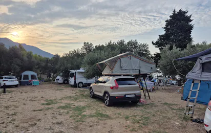 Dalmata Camping