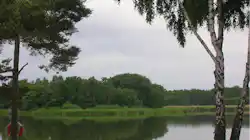 Dalskärs Camping