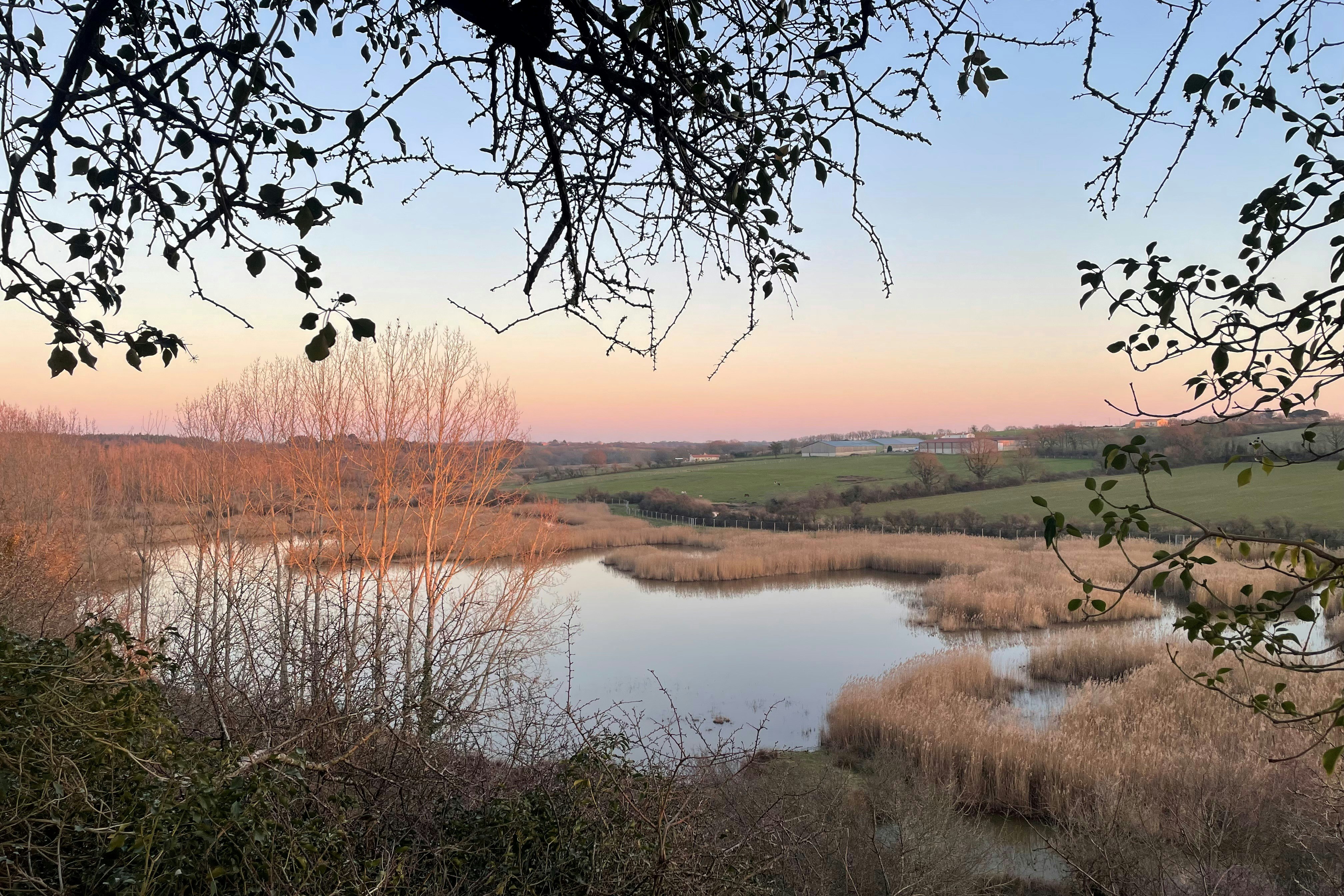 Damona Lodges - Umgebung des Campingplatzes