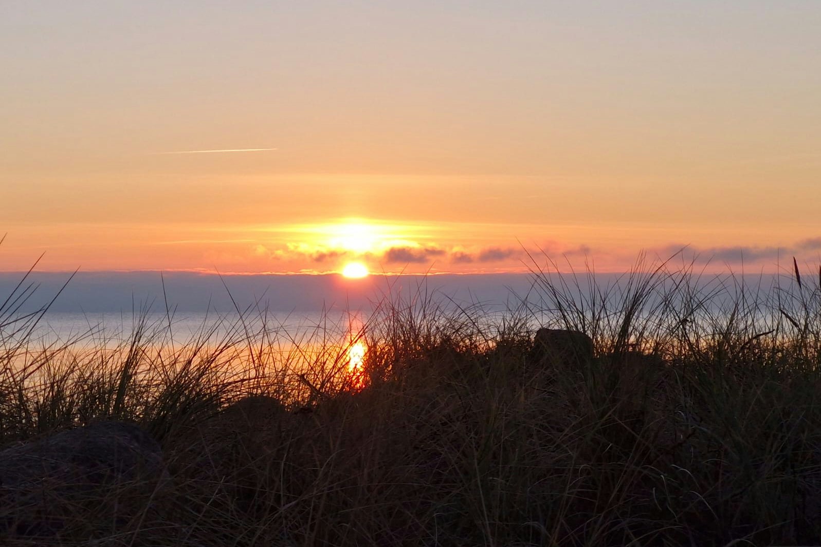 Sonnenuntergang über dem Meer, im Vordergrund Gräser und Büsche am Strand.