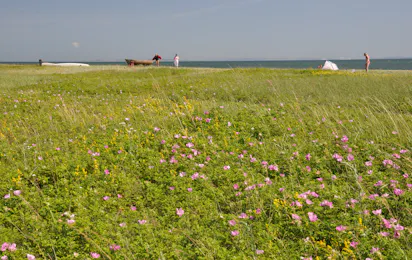 First Camp Ajstrup Strand – Aarhus