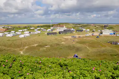 DANCAMPS Holmsland