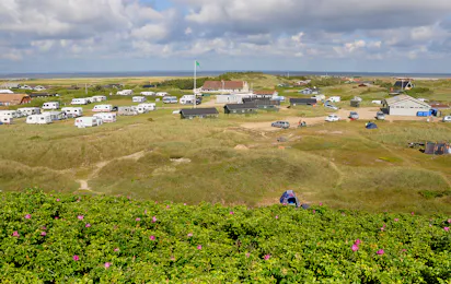 DANCAMPS Holmsland