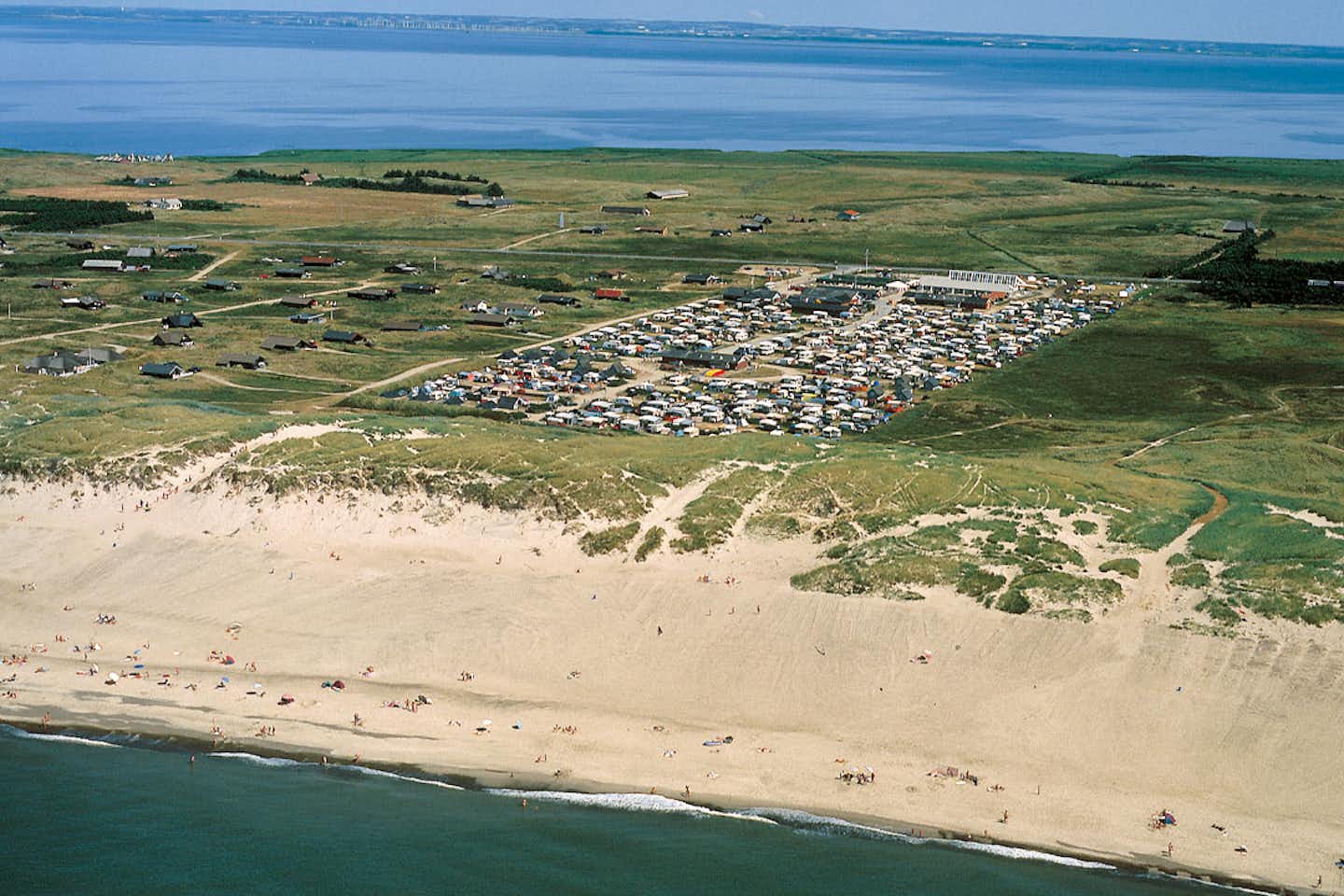 Dancamps Nordsø - Luftaufnahme des Campingplatzes am Strand