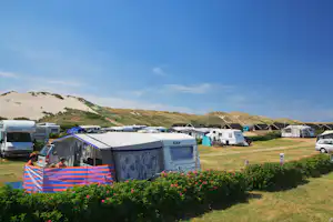 Dancamps Nordsø - Stellplatzwiese direkt neben den Sanddünen