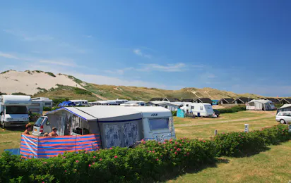 DANCAMPS Nordsø