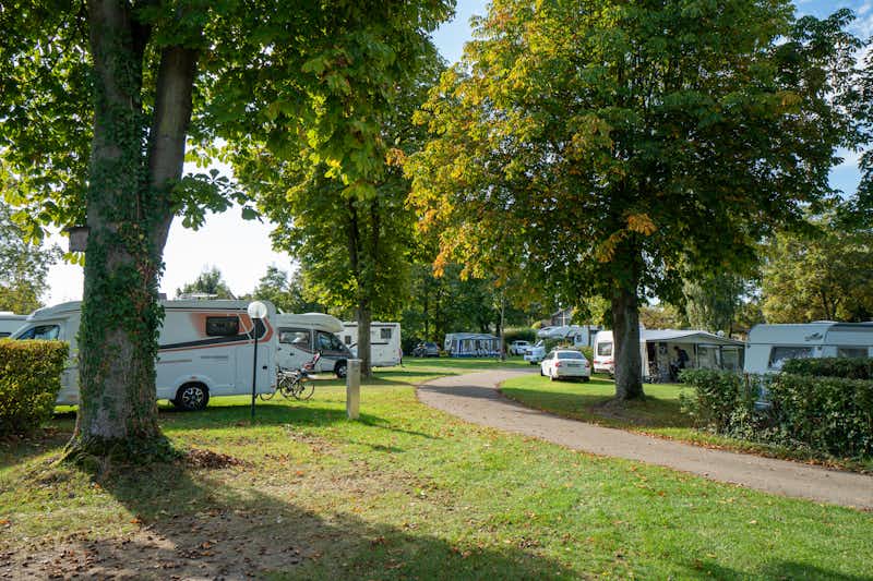 DCC-Campingpark Kehl-Straßburg - Standplatz