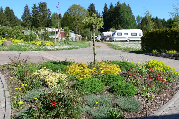 DCC-Campingplatz Schwarzwälder Hochwald