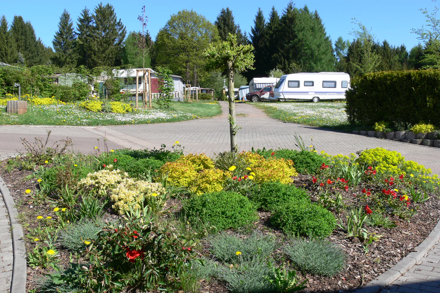 DCC-Campingplatz Schwarzwälder Hochwald