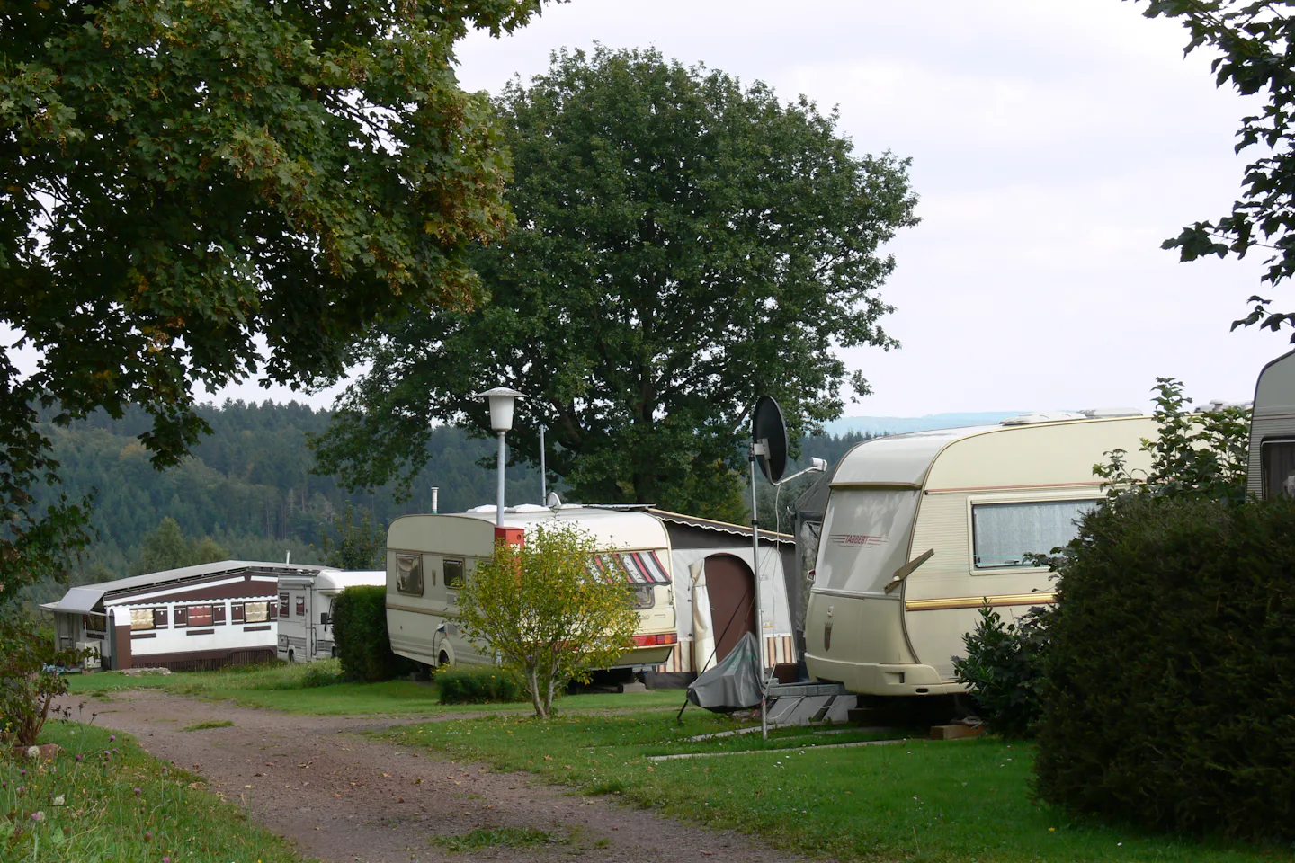 DCC-Campingplatz Schwarzwälder Hochwald